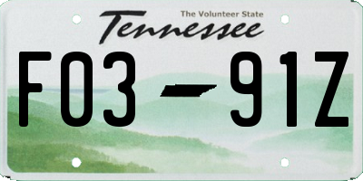TN license plate F0391Z