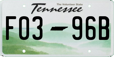 TN license plate F0396B