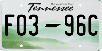 TN license plate F0396C