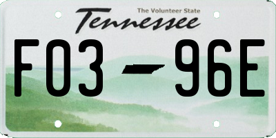 TN license plate F0396E