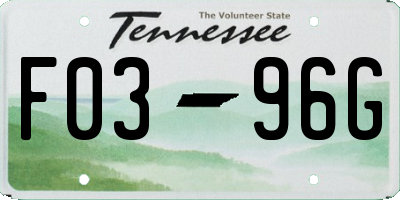 TN license plate F0396G
