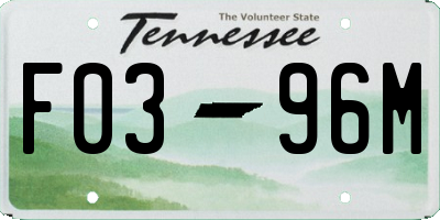 TN license plate F0396M