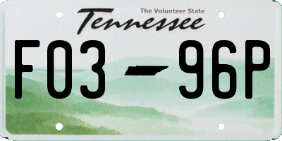 TN license plate F0396P