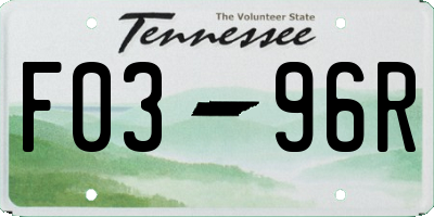 TN license plate F0396R