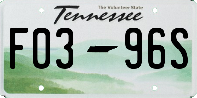 TN license plate F0396S
