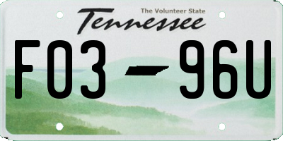 TN license plate F0396U