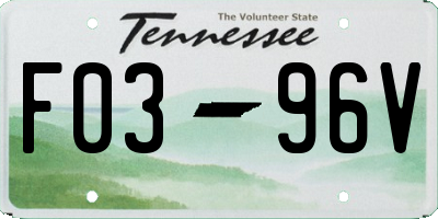 TN license plate F0396V