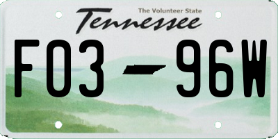 TN license plate F0396W