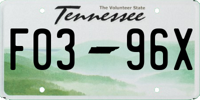 TN license plate F0396X
