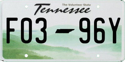 TN license plate F0396Y