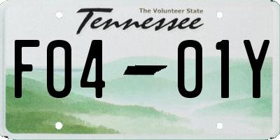 TN license plate F0401Y