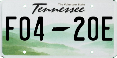 TN license plate F0420E