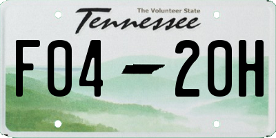 TN license plate F0420H
