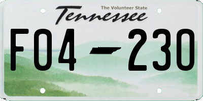 TN license plate F0423O