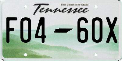 TN license plate F0460X