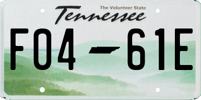 TN license plate F0461E