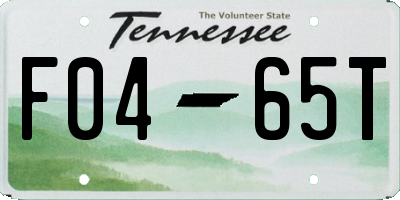 TN license plate F0465T