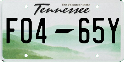 TN license plate F0465Y
