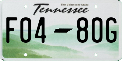 TN license plate F0480G