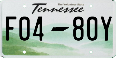 TN license plate F0480Y