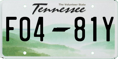 TN license plate F0481Y
