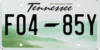 TN license plate F0485Y