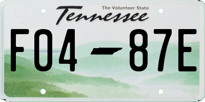 TN license plate F0487E