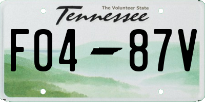 TN license plate F0487V