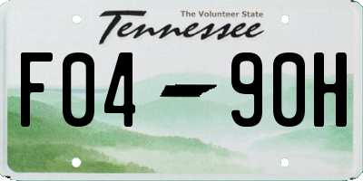TN license plate F0490H