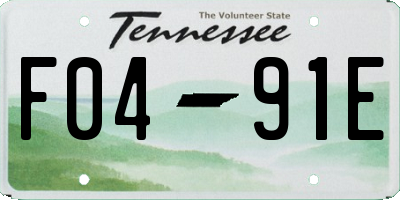 TN license plate F0491E