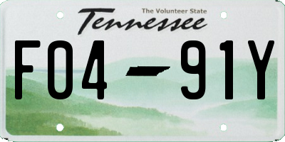 TN license plate F0491Y