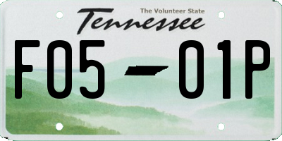 TN license plate F0501P