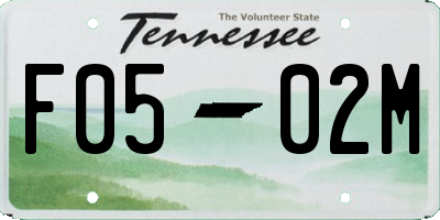 TN license plate F0502M