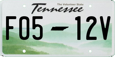 TN license plate F0512V