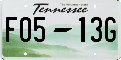 TN license plate F0513G