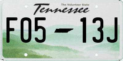 TN license plate F0513J