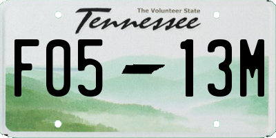 TN license plate F0513M