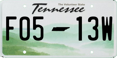 TN license plate F0513W