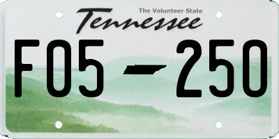 TN license plate F0525O