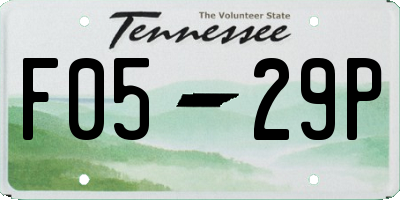 TN license plate F0529P