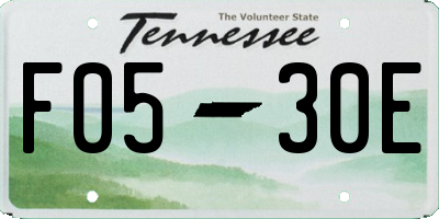 TN license plate F0530E