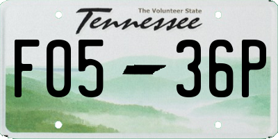 TN license plate F0536P