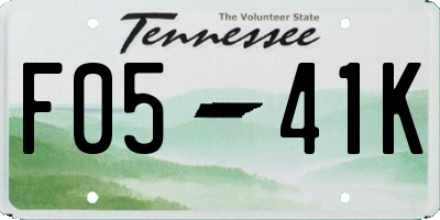 TN license plate F0541K