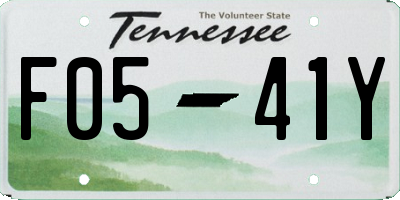 TN license plate F0541Y