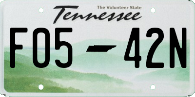 TN license plate F0542N