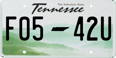 TN license plate F0542U