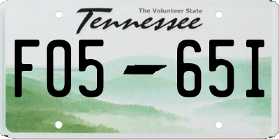 TN license plate F0565I