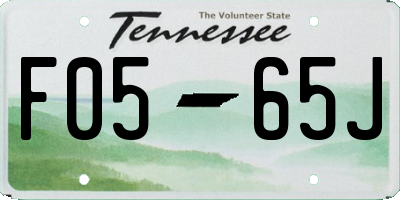 TN license plate F0565J