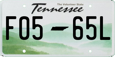 TN license plate F0565L
