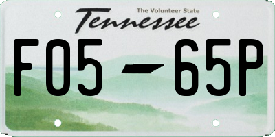 TN license plate F0565P